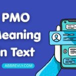PMO Meaning in Text