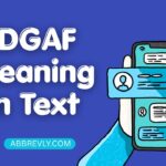 IDGAF Meaning in Text