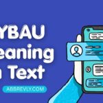 SYBAU Meaning in Text